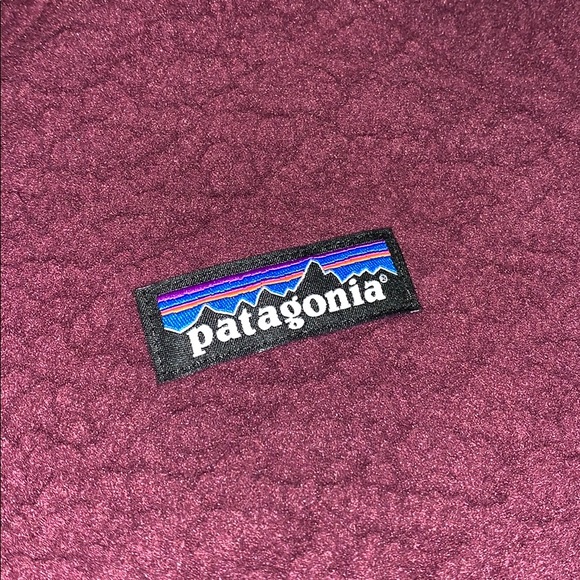 NWT Patagonia Diamond Capra Fleece Pullover Hoodie - Picture 9 of 15